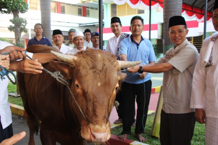 IMG-20190811-WA0085-696x464