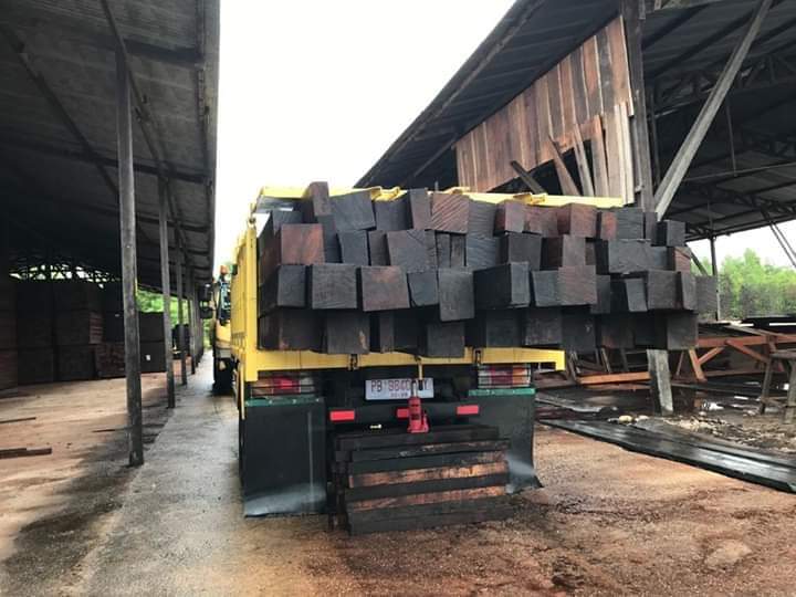 Gakkum KLHK Menyita 263 Batang Kayu Olahan Ilegal di Sorong