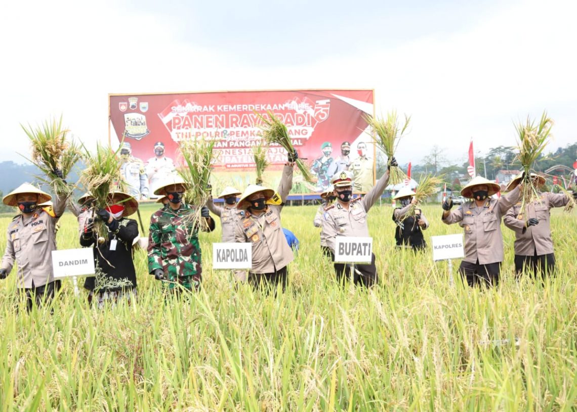 IMG-20200815-WA0017-1140x815