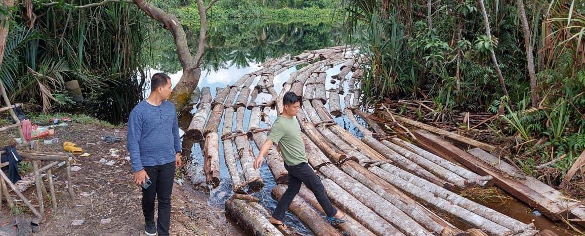 Polda Riau Amankan Ratusan Tual Kayu Illegal Logging di Siak Kecil Bengkalis