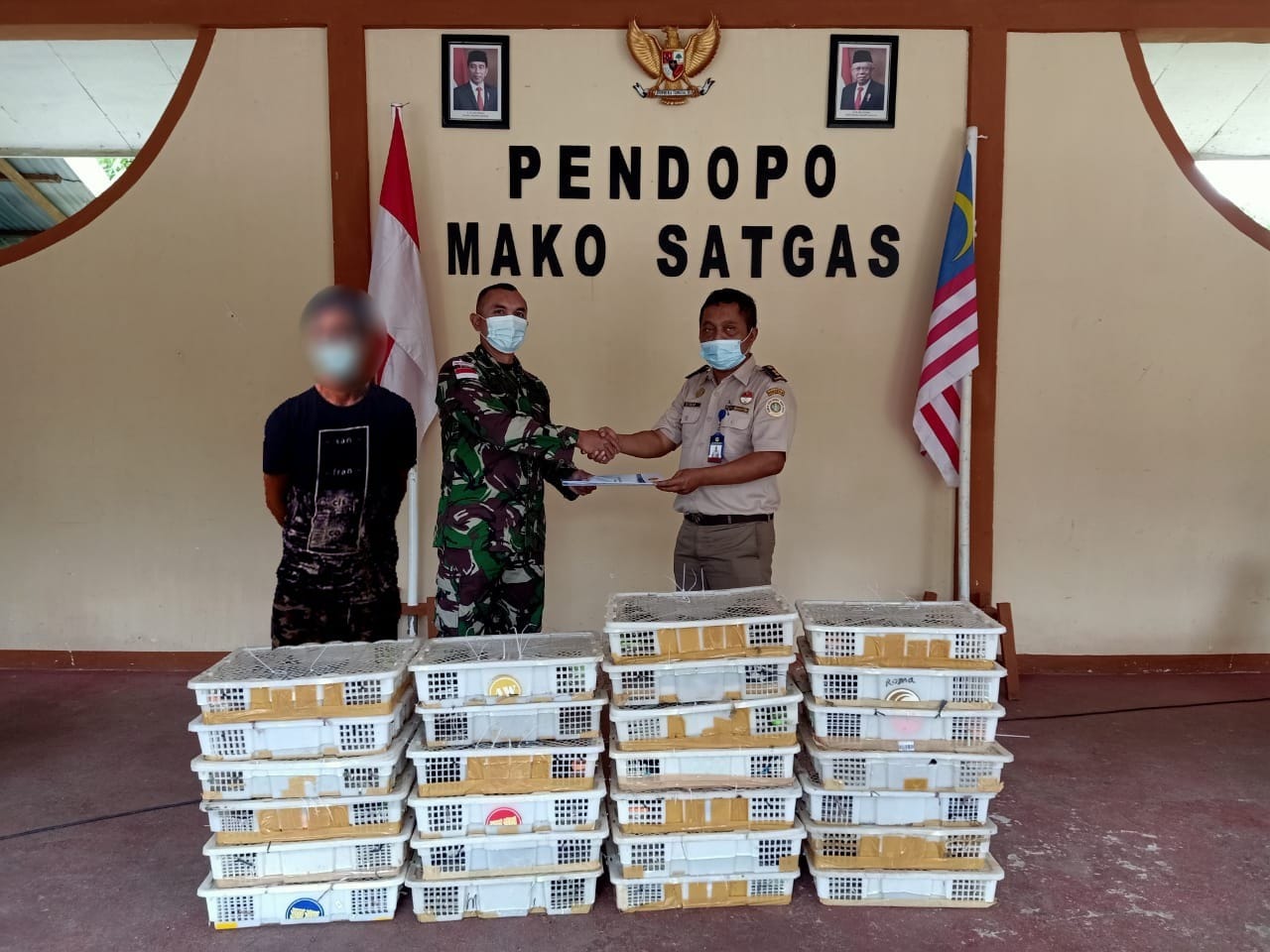 Lakukan Sweeping, Pos Kotis Satgas Pamtas Yonif Mekanis 643/Wns Amankan Ratusan Satwa Liar Ilegal.