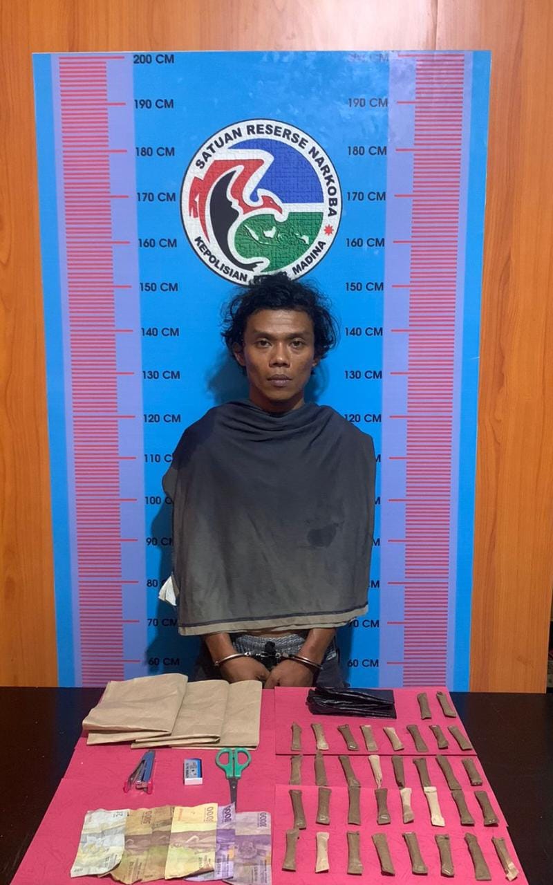 Miliki Ganja Kering, Robi Warga Desa Huta Bargot Lombang Ditangkap Sat Narkoba Polres Madina.