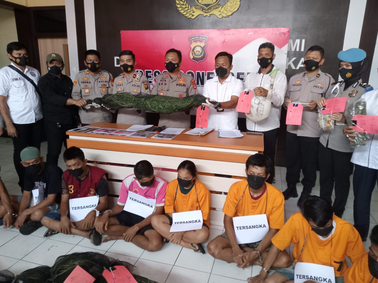 Polres Lahat Ungkap Penemuan Ladang Ganja di Desa Jemaring Kecamatan Jarai Kabupaten Lahat.