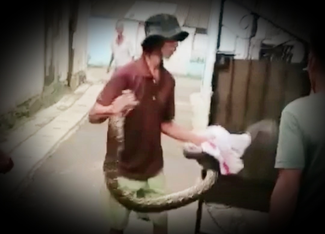 IMG_20230509_013637_527