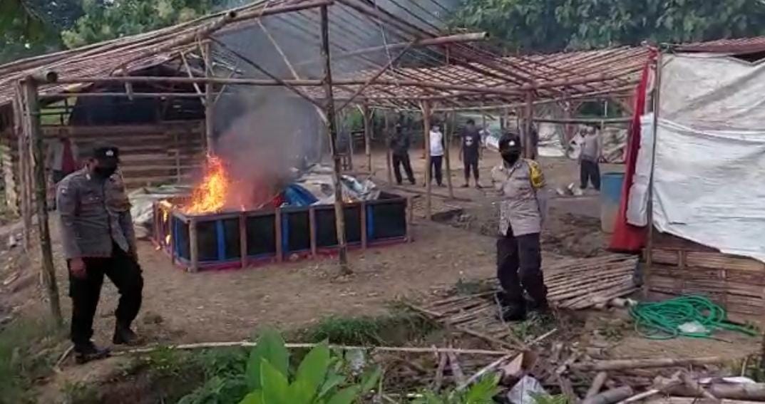 WhatsApp Image 2022-01-26 at 16.52.34