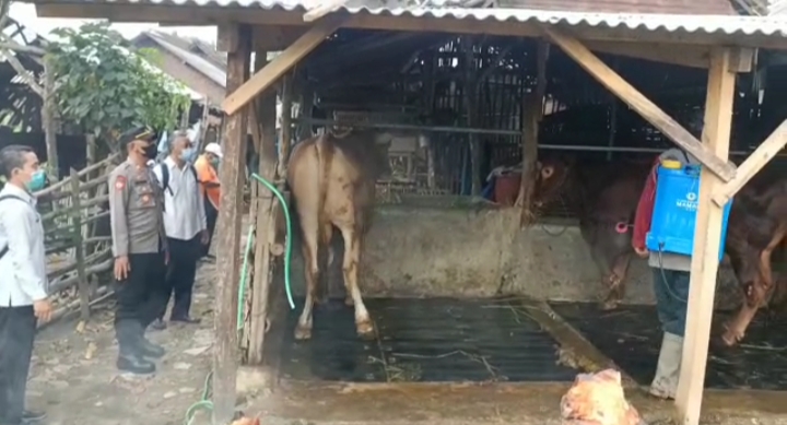 WhatsApp Image 2022-05-13 at 15.13.15 (1)