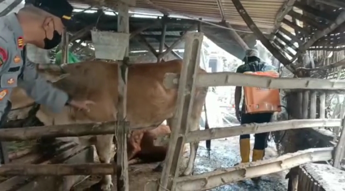 WhatsApp Image 2022-05-13 at 15.13.15 (2)