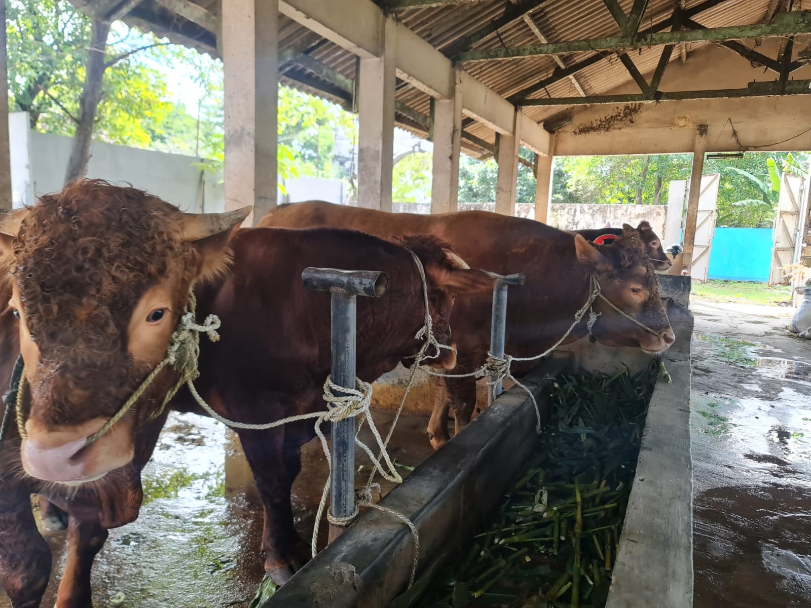 WhatsApp Image 2022-05-24 at 16.22.46 (1)