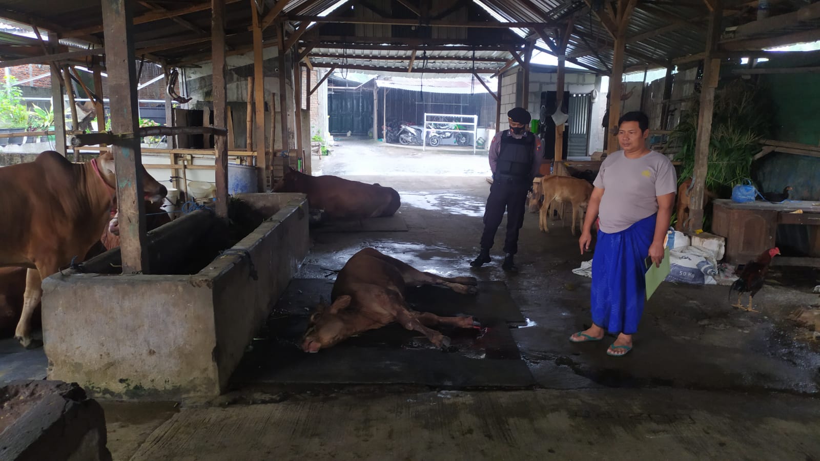 WhatsApp Image 2022-05-27 at 14.41.08 (1)