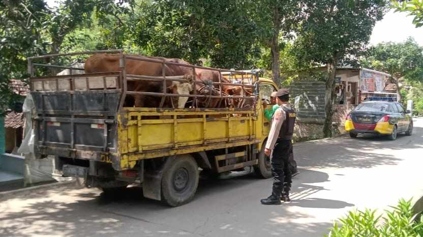 WhatsApp Image 2022-06-03 at 13.53.43