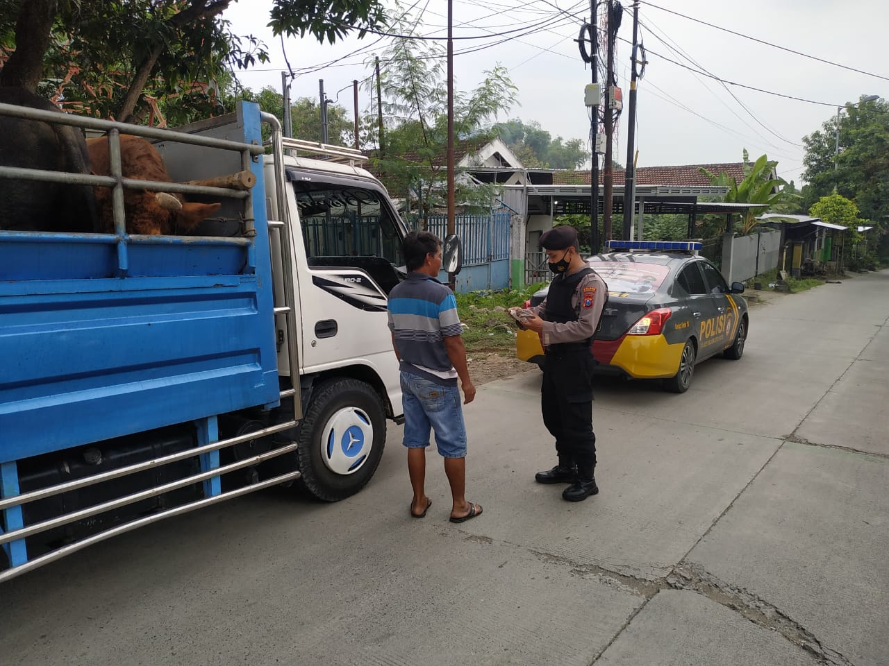 WhatsApp Image 2022-06-03 at 15.15.28