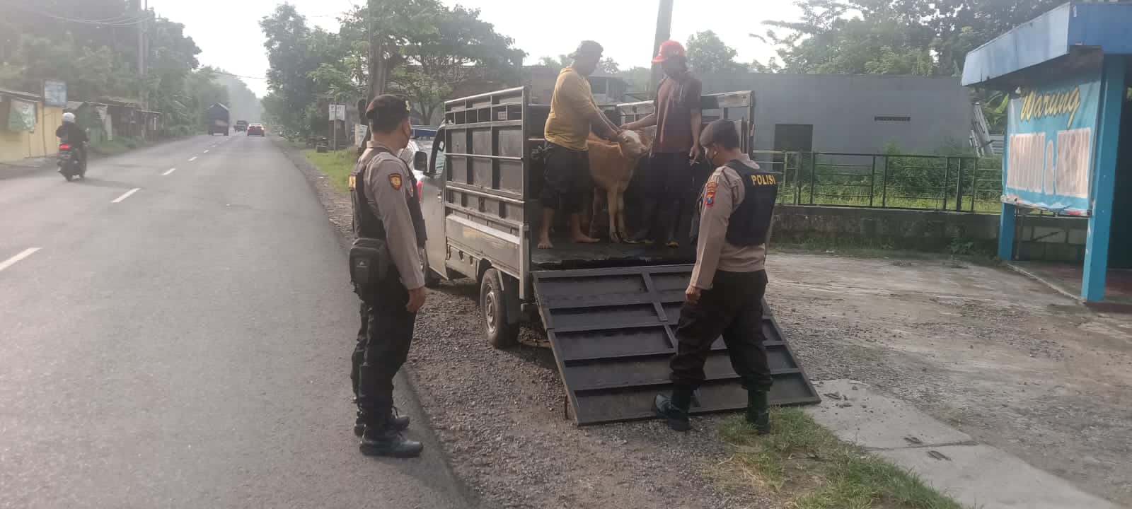 WhatsApp Image 2022-06-07 at 15.27.32