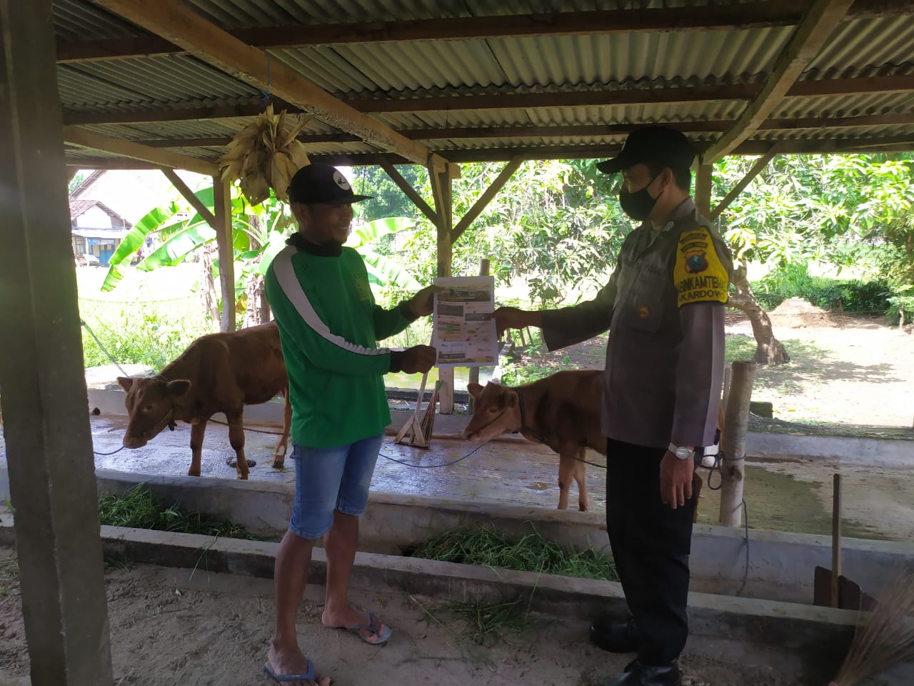 WhatsApp Image 2022-06-08 at 10.43.33