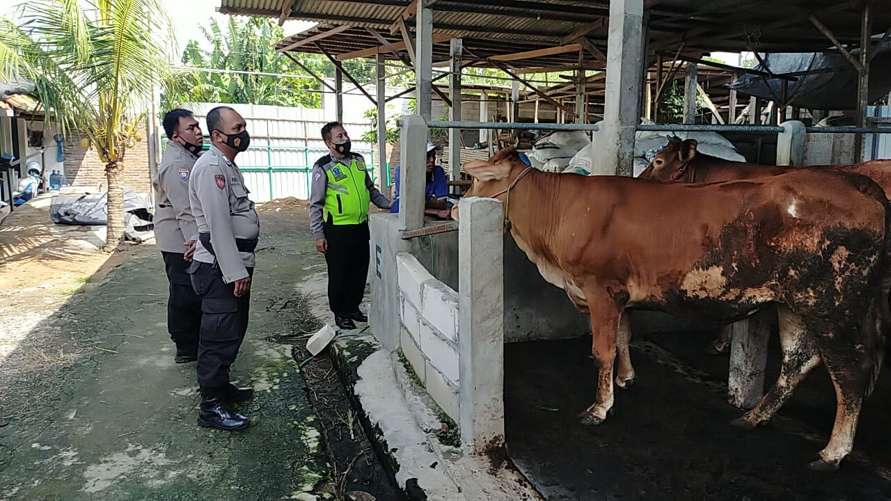 WhatsApp Image 2022-06-09 at 10.41.39