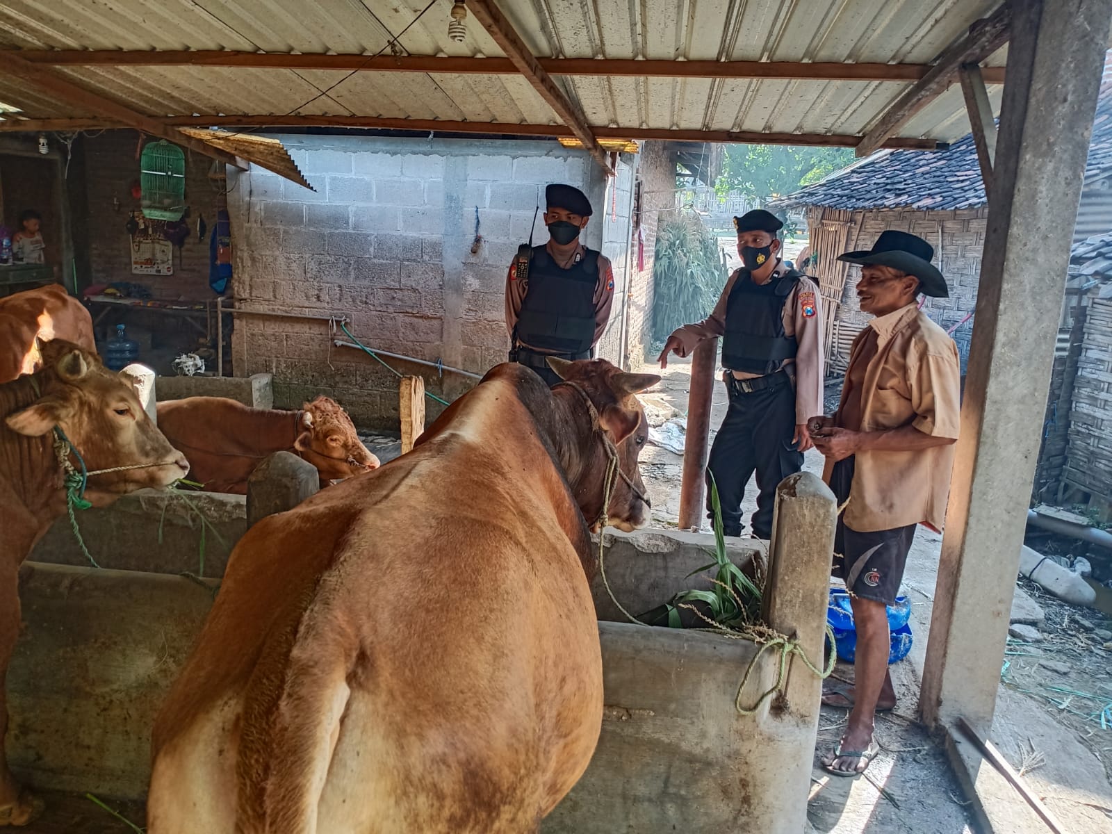 WhatsApp-Image-2022-06-13-at-05.31.50