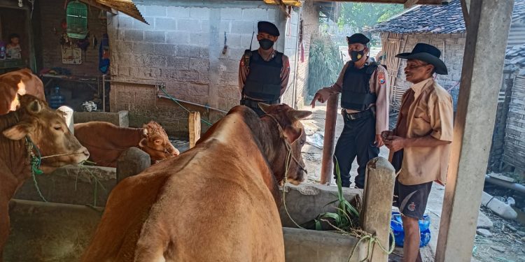 WhatsApp-Image-2022-06-13-at-05.31.50-750x375