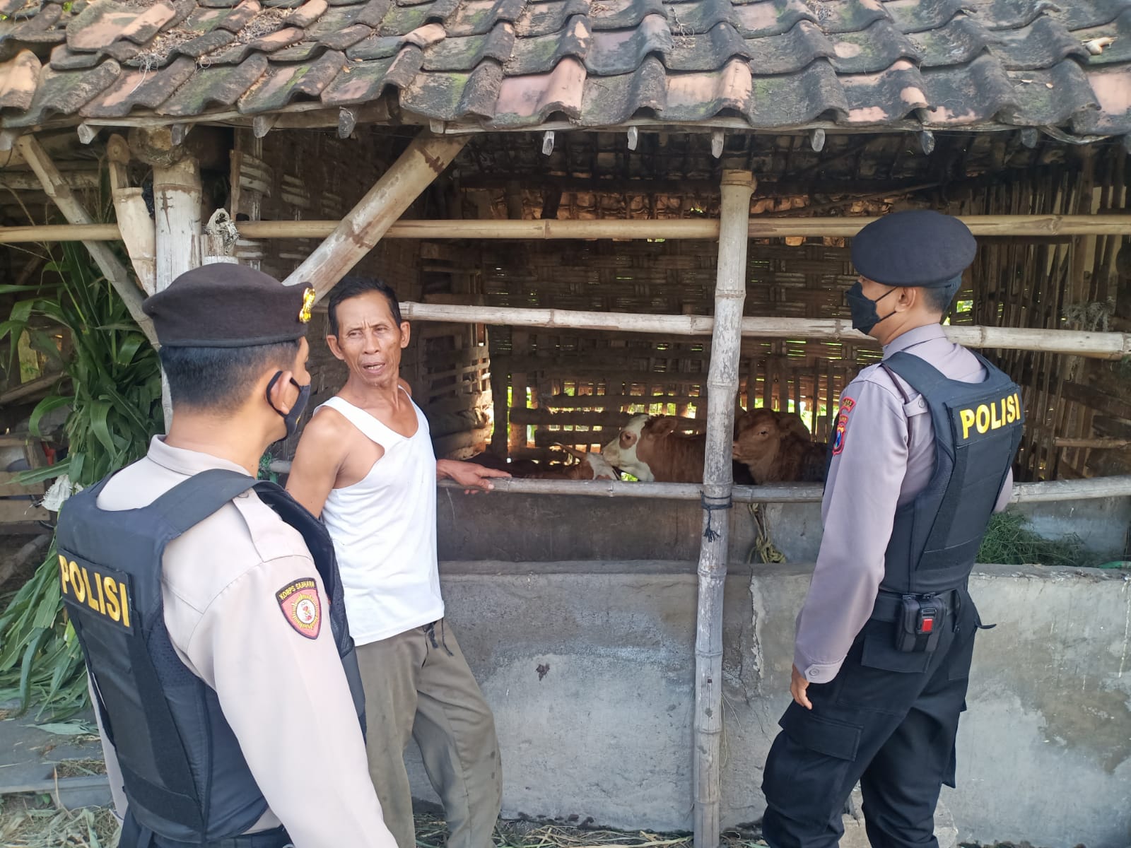 WhatsApp Image 2022-06-15 at 09.45.46 (1)