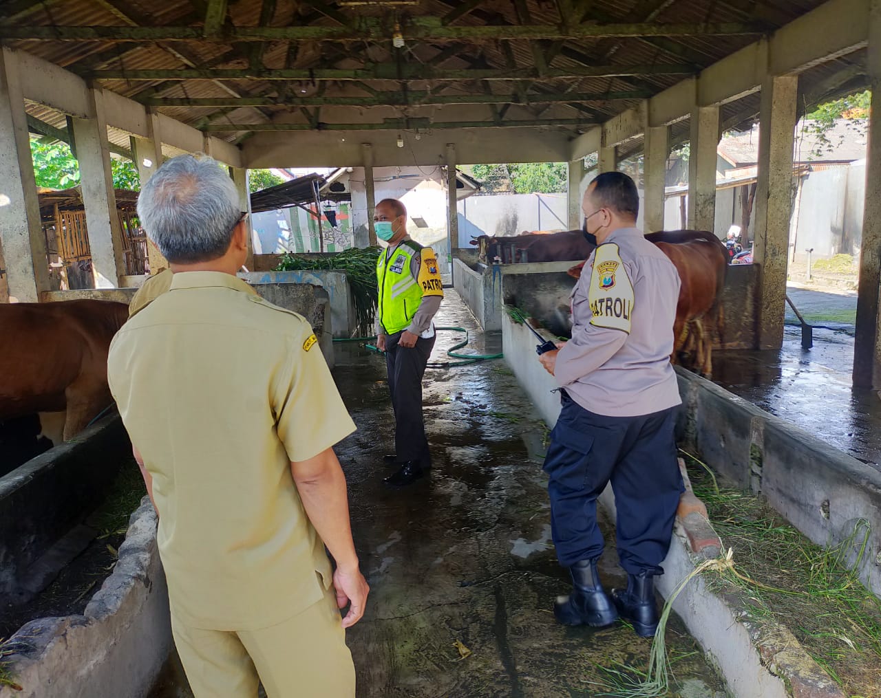 WhatsApp Image 2022-06-15 at 12.56.34