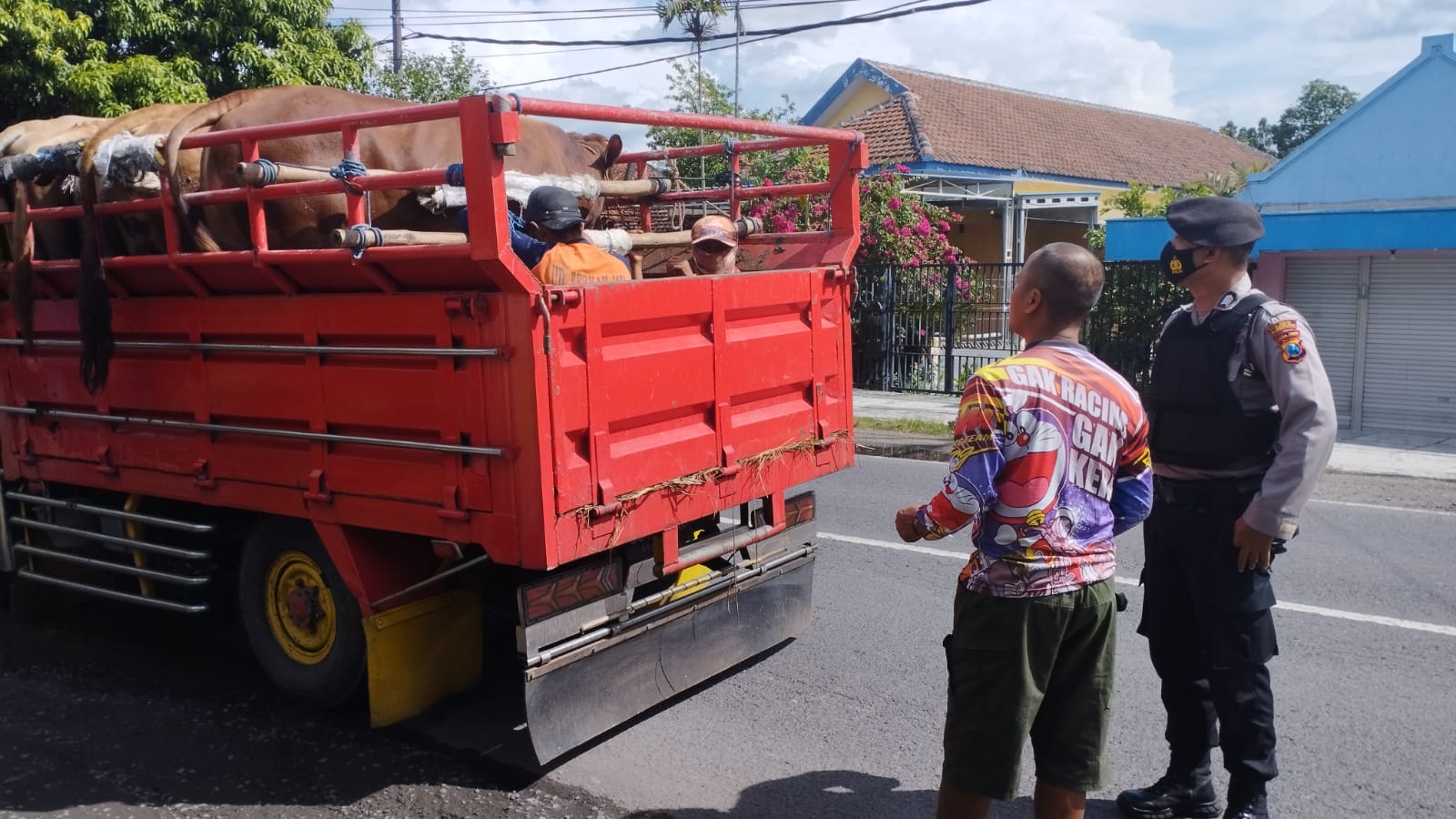 WhatsApp Image 2022-06-17 at 07.35.10