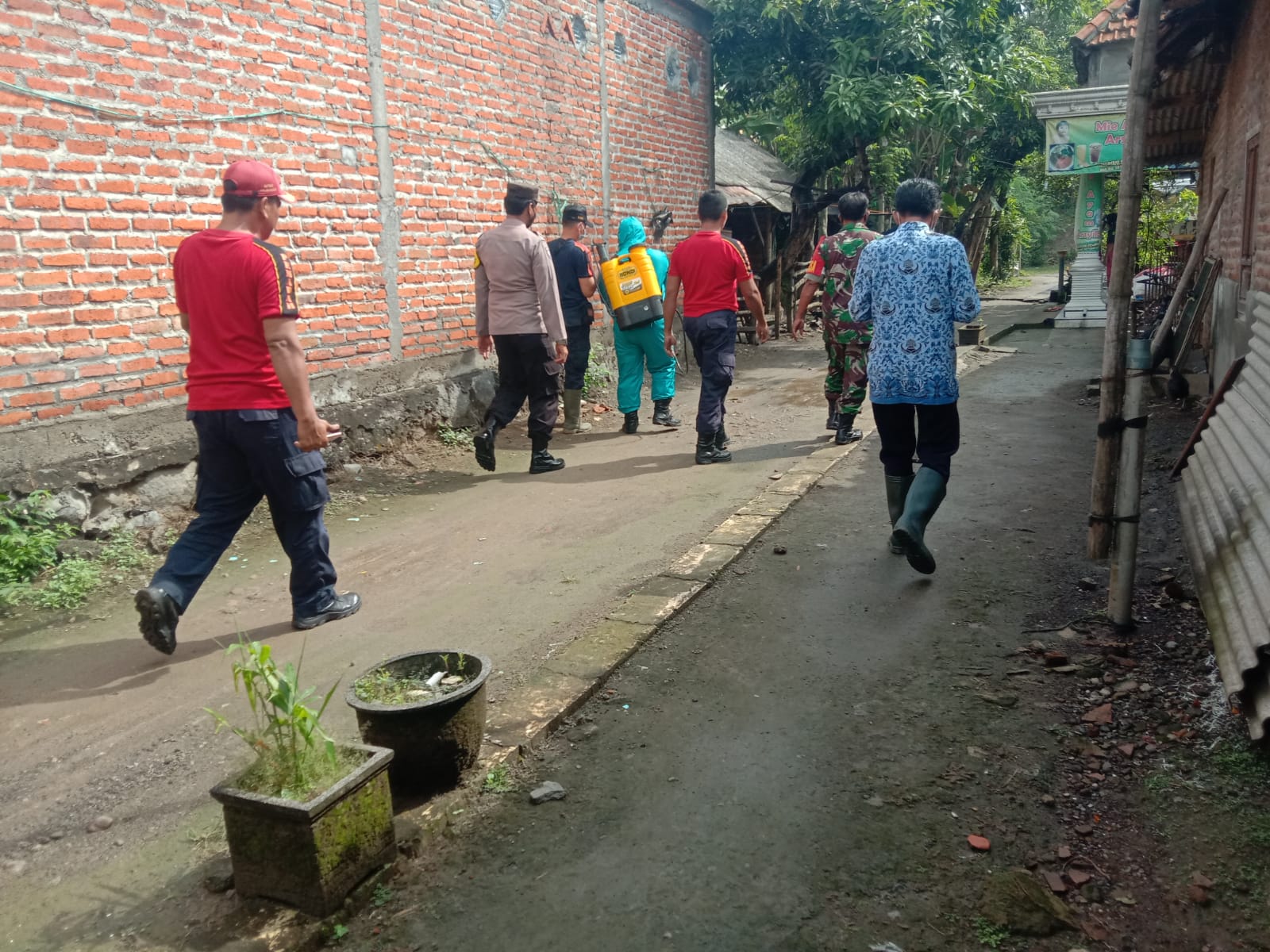 WhatsApp Image 2022-06-18 at 11.26.54