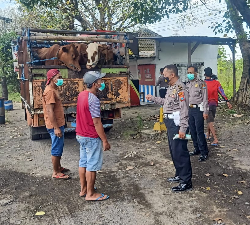 WhatsApp Image 2022-07-12 at 11.16.16