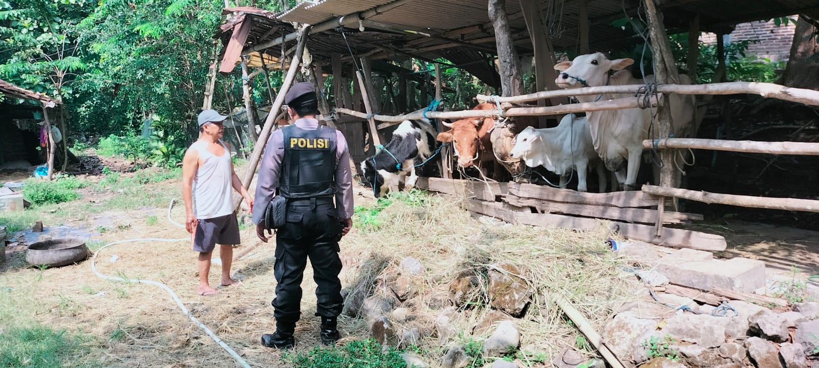 WhatsApp Image 2022-07-15 at 11.23.04