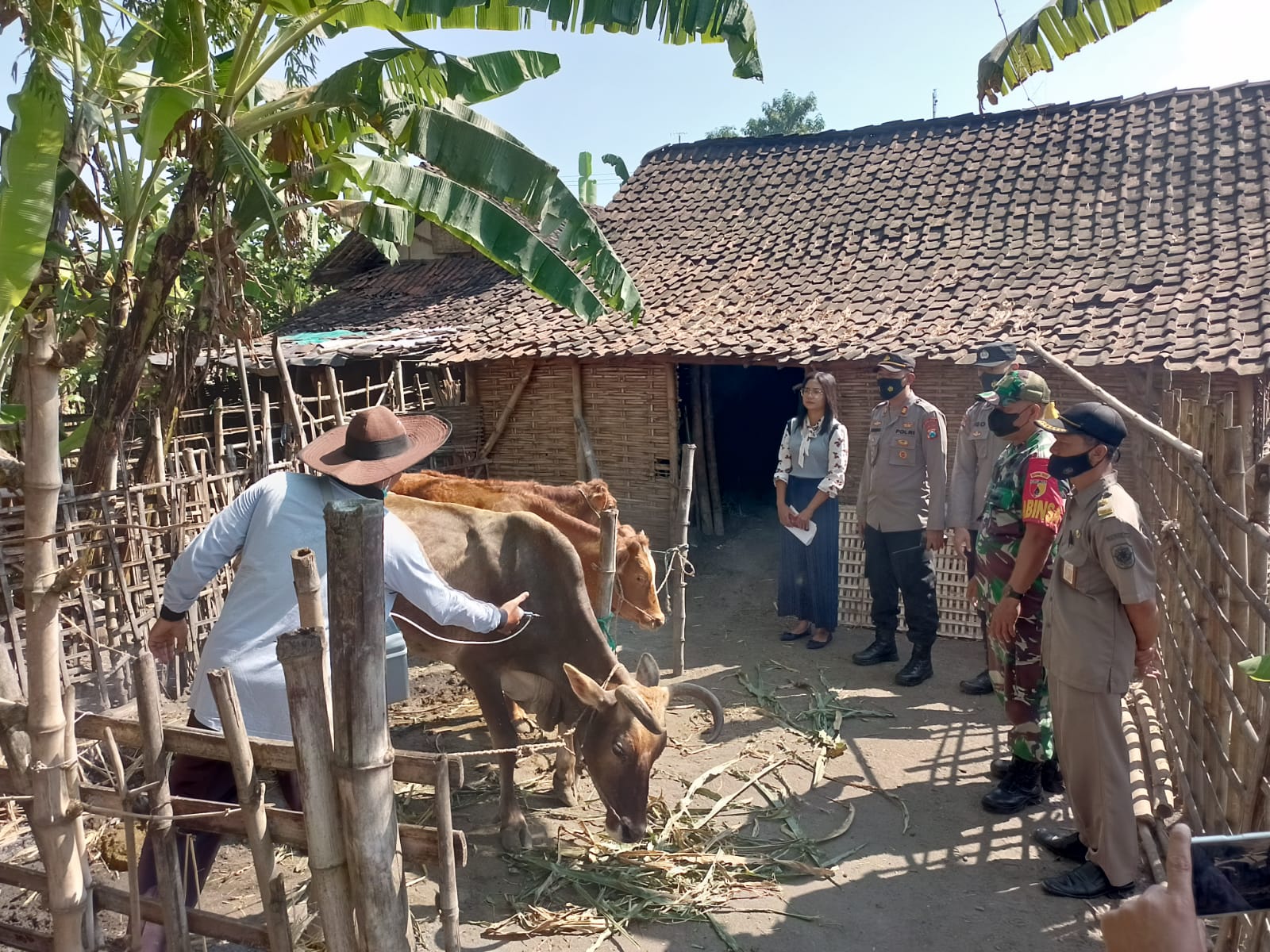 Antisipasi Penyebaran Virus PMK, Polresta Mojokerto Gencar Vaksinasi Hewan Ternak Milik Warga