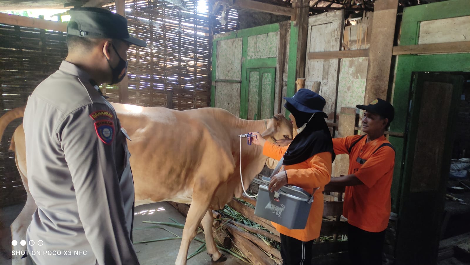 WhatsApp Image 2022-08-12 at 09.33.01