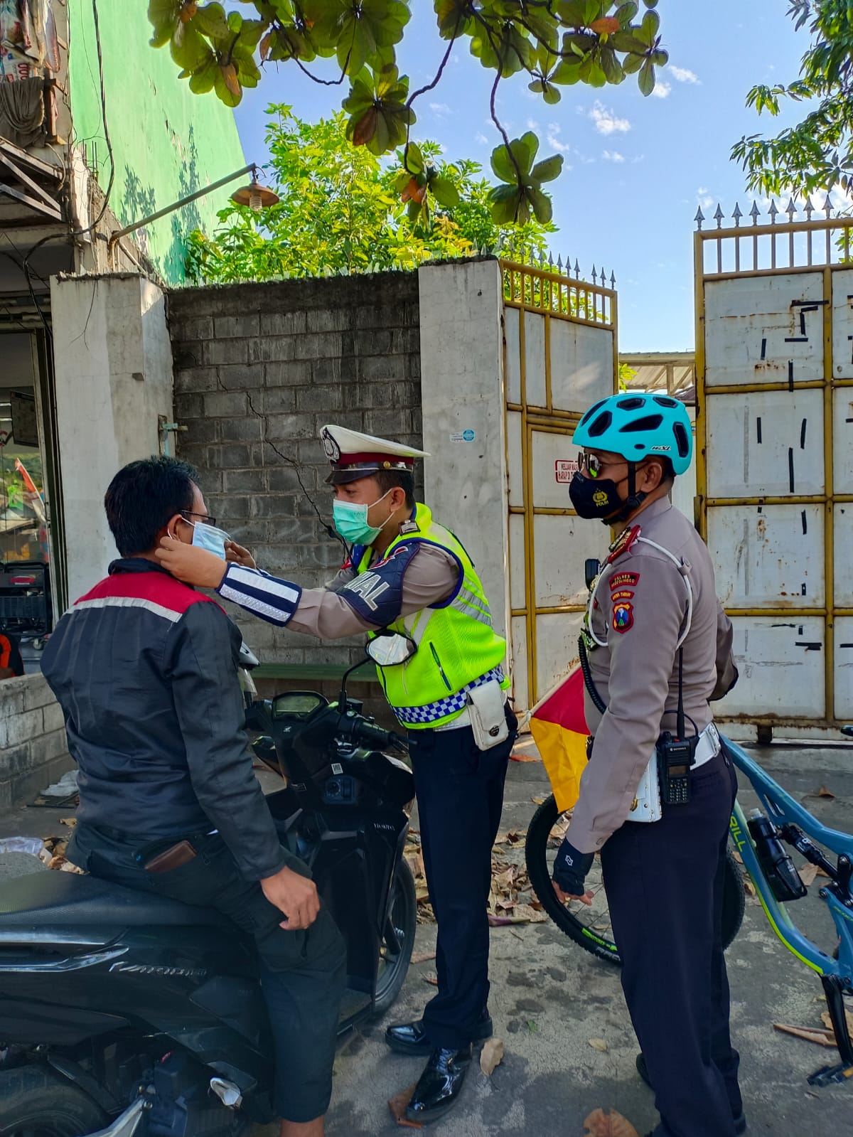 WhatsApp Image 2022-08-19 at 15.47.09