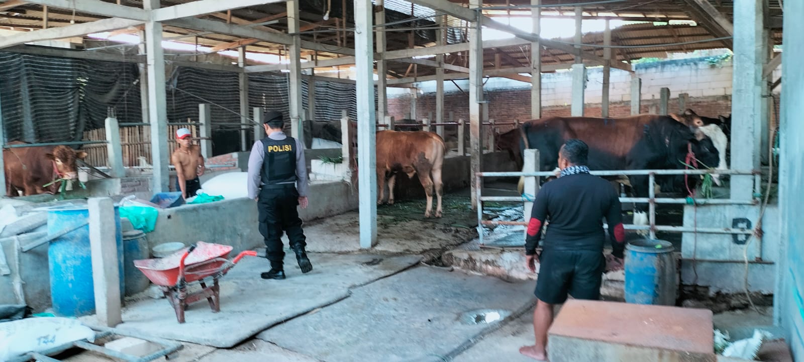 WhatsApp Image 2022-08-27 at 08.52.15