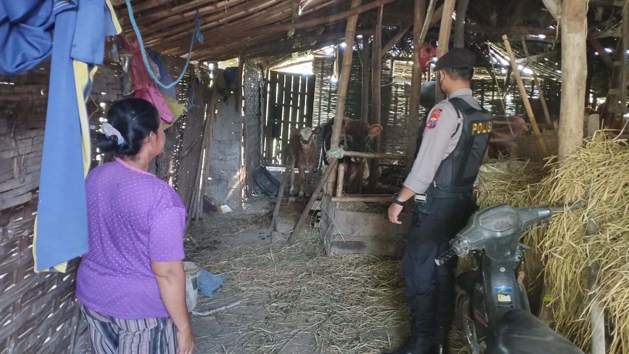 WhatsApp Image 2022-09-08 at 10.09.10