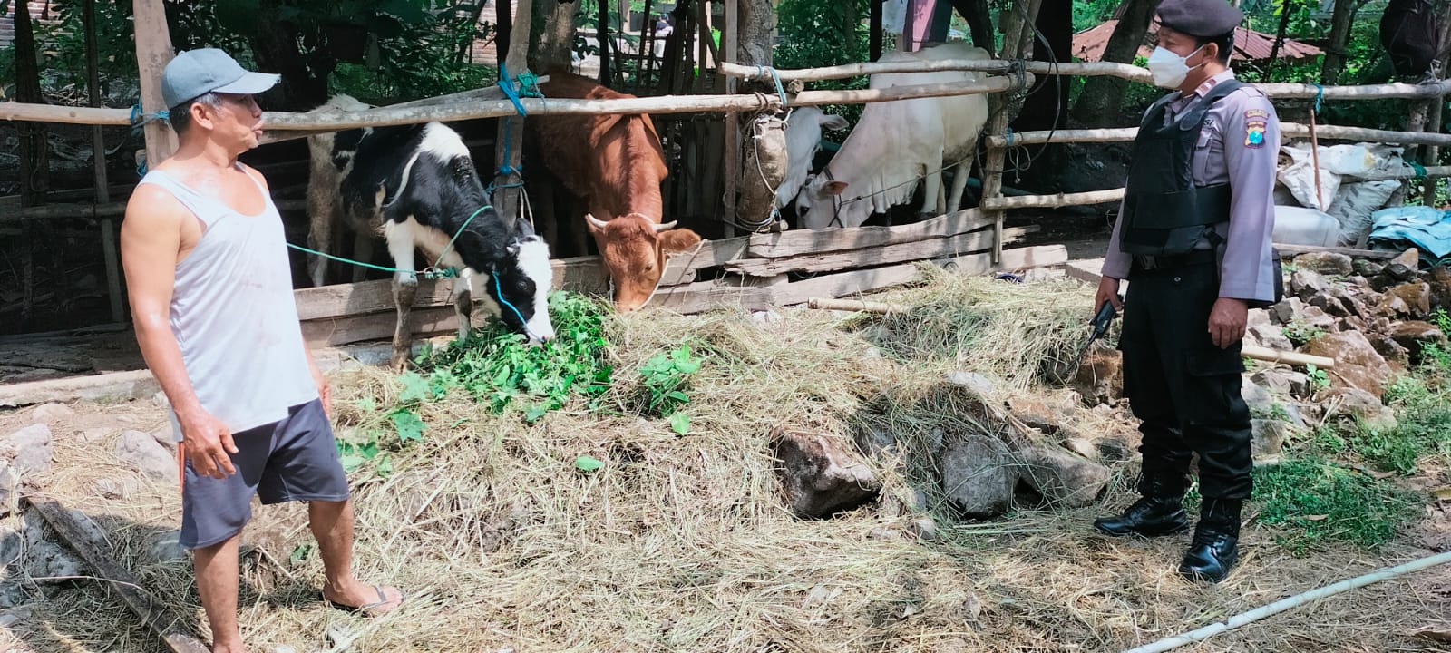 WhatsApp Image 2022-09-14 at 09.50.18