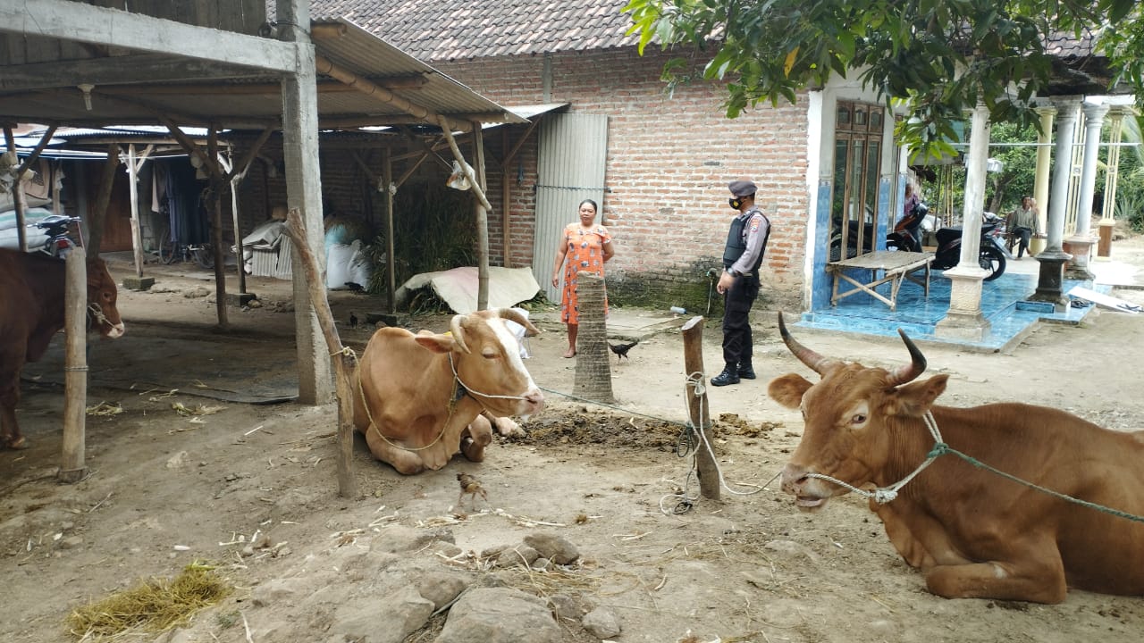 WhatsApp Image 2022-09-15 at 09.06.08