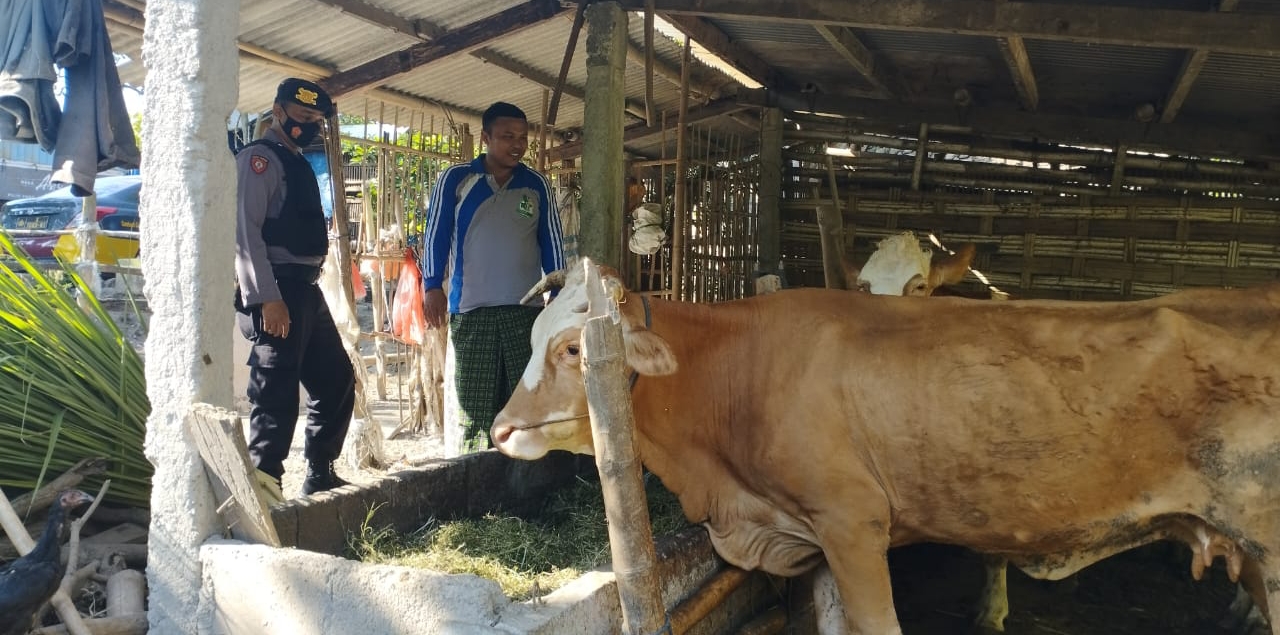 WhatsApp Image 2022-09-20 at 10.30.07