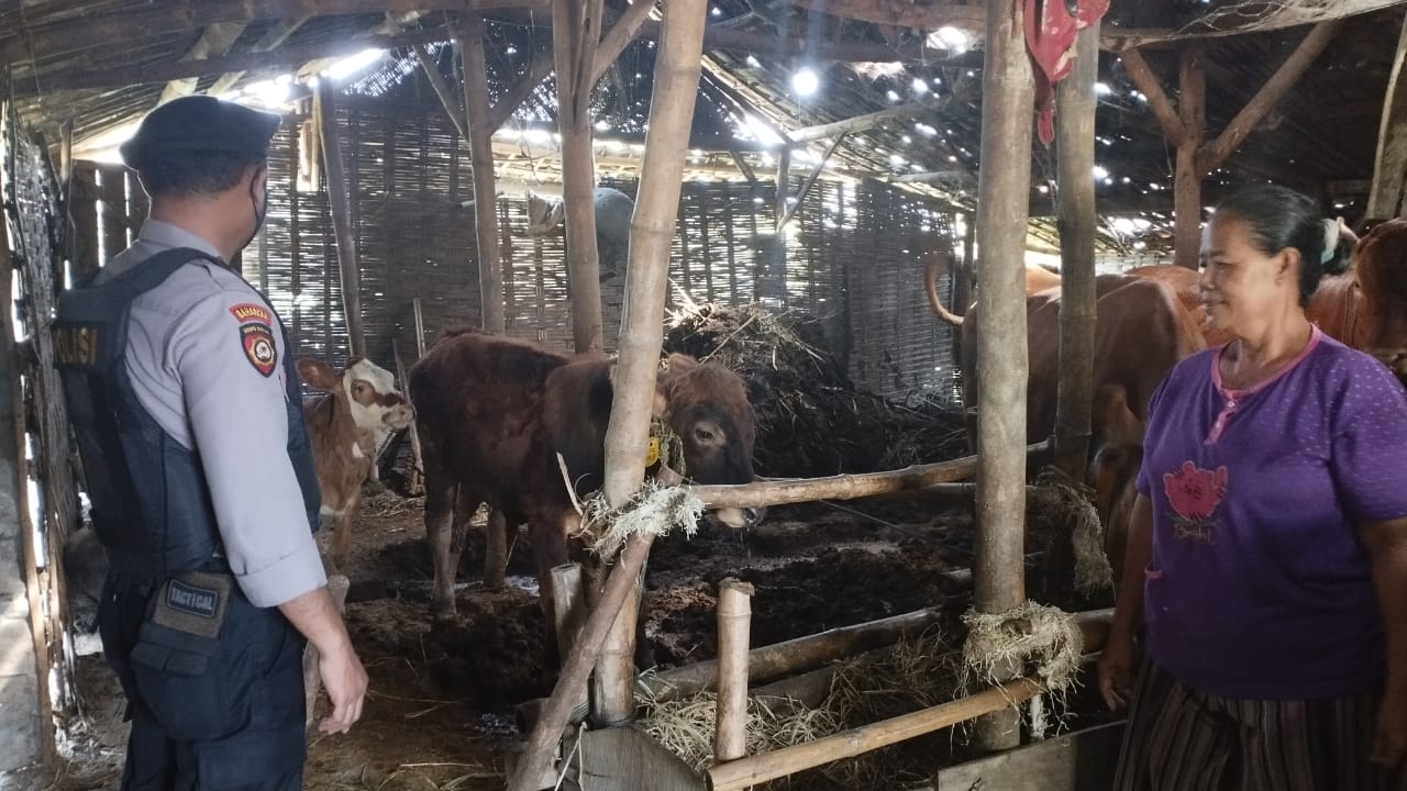 WhatsApp Image 2022-10-03 at 16.19.22