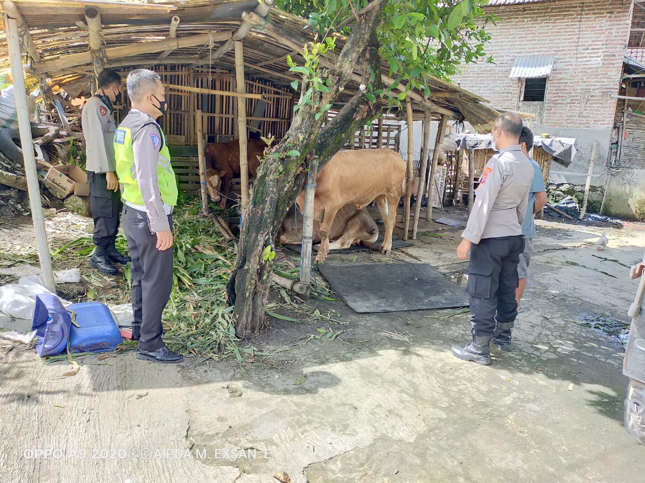 Pencegahan Masuknya Wabah PMK, Polresta Mojokerto Sambangi Peternak Sapi