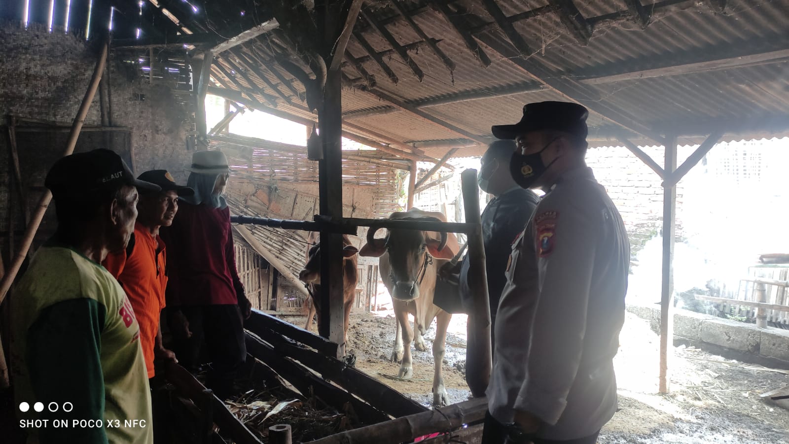 WhatsApp Image 2022-10-13 at 12.40.58