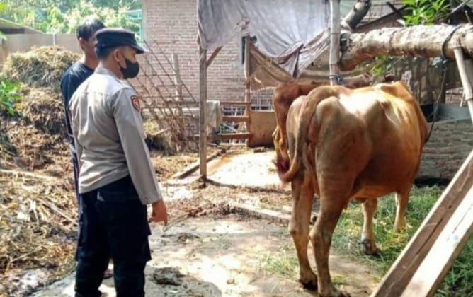 WhatsApp Image 2022-10-19 at 09.11.45