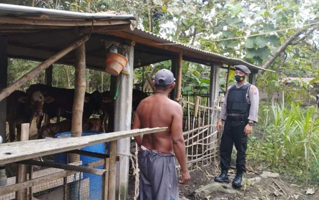 WhatsApp Image 2022-11-04 at 10.15.24