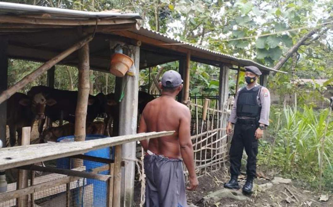 WhatsApp-Image-2022-11-08-at-09.22.43