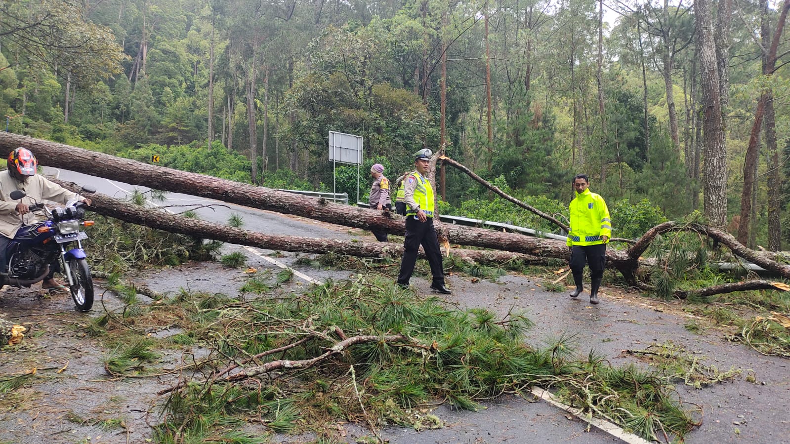 Polres Magetan Bersama TNI dan BPBD Evakuasi Pohon Tumbang, Akses Jalan Sarangan – Cemorosewu Terbuka