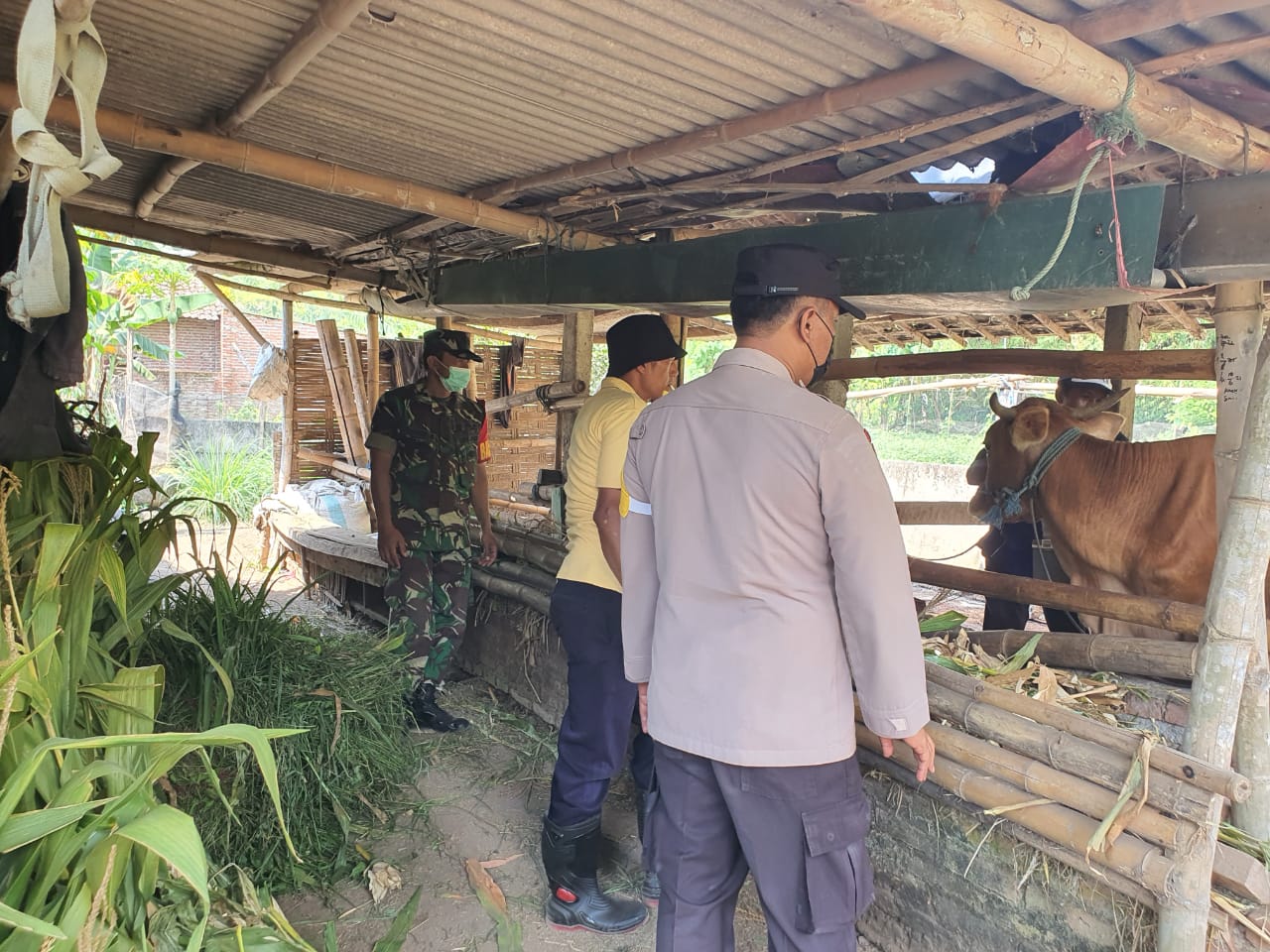 WhatsApp Image 2023-01-02 at 20.19.50