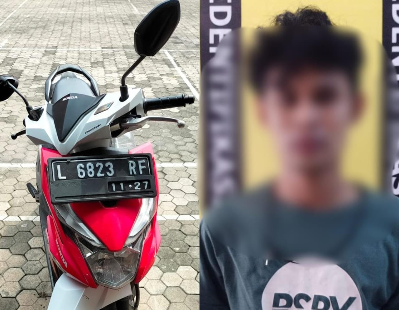 WhatsApp Image 2023-01-04 at 16.03.31