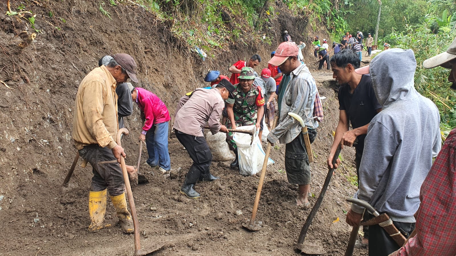 WhatsApp Image 2023-01-30 at 11.16.21