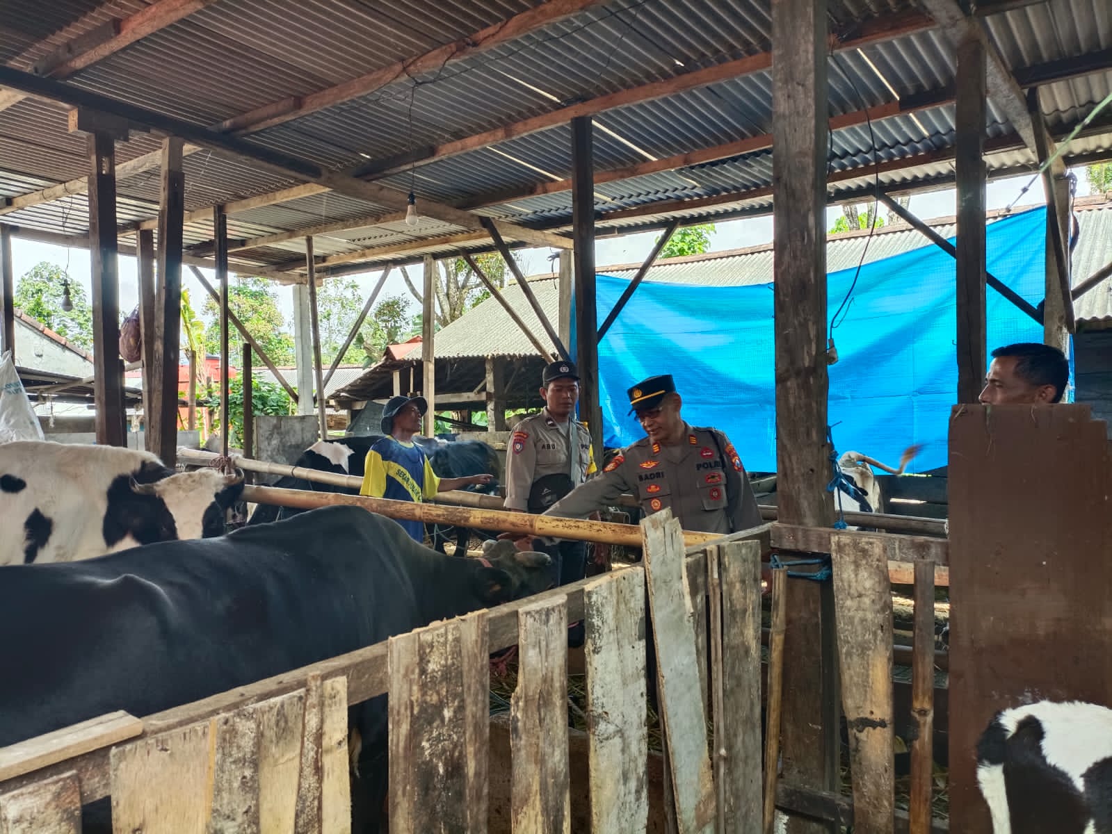 WhatsApp Image 2023-02-06 at 08.45.05