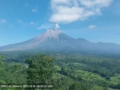 Kamis Pagi Ini Gunung Semeru Dua Kali Erupsi