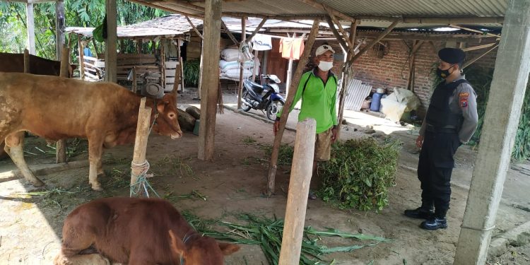 b0facea6-8476-450b-bc7d-47b4e5b3f206-750x375