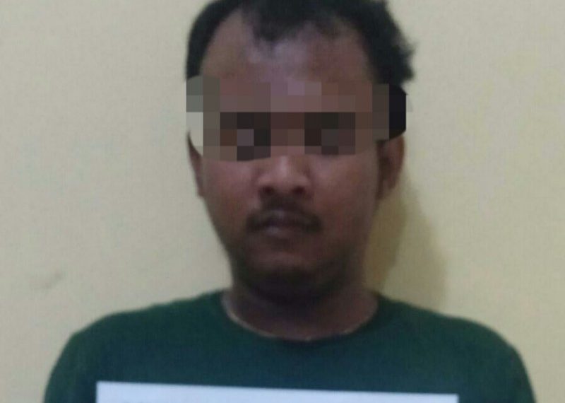 f167258d-3350-492c-825f-0e3a3f8ec2b0-800x637-800x570