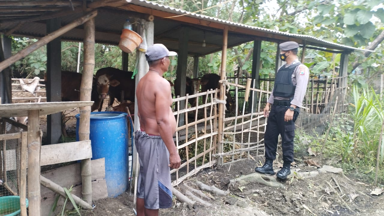 Antisipasi Wabah PMK, Satsamapta Patroli Dialogis ke Lokasi Kandang Peternakan