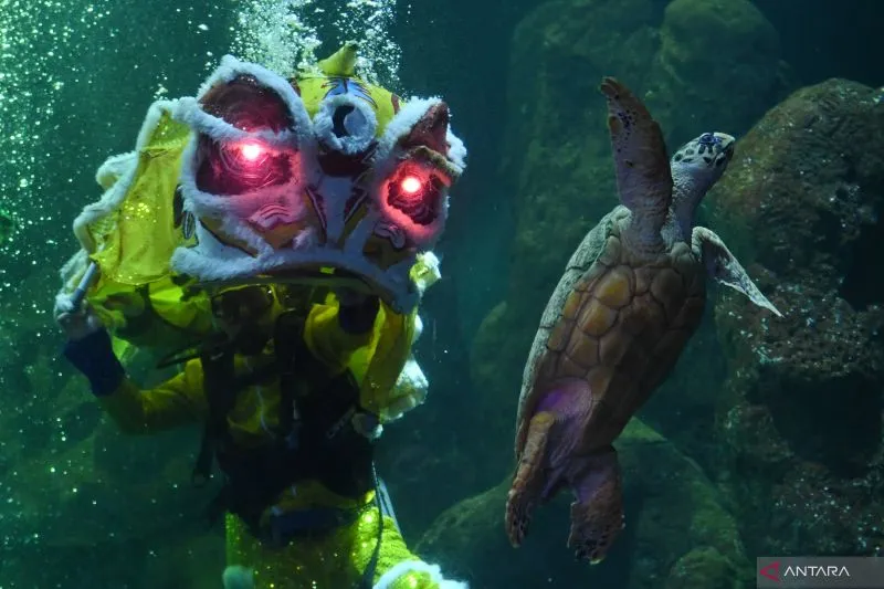 Ancol Gelar Festival Lunar Hingga Barongsai Sambut Imlek Tahun Ini